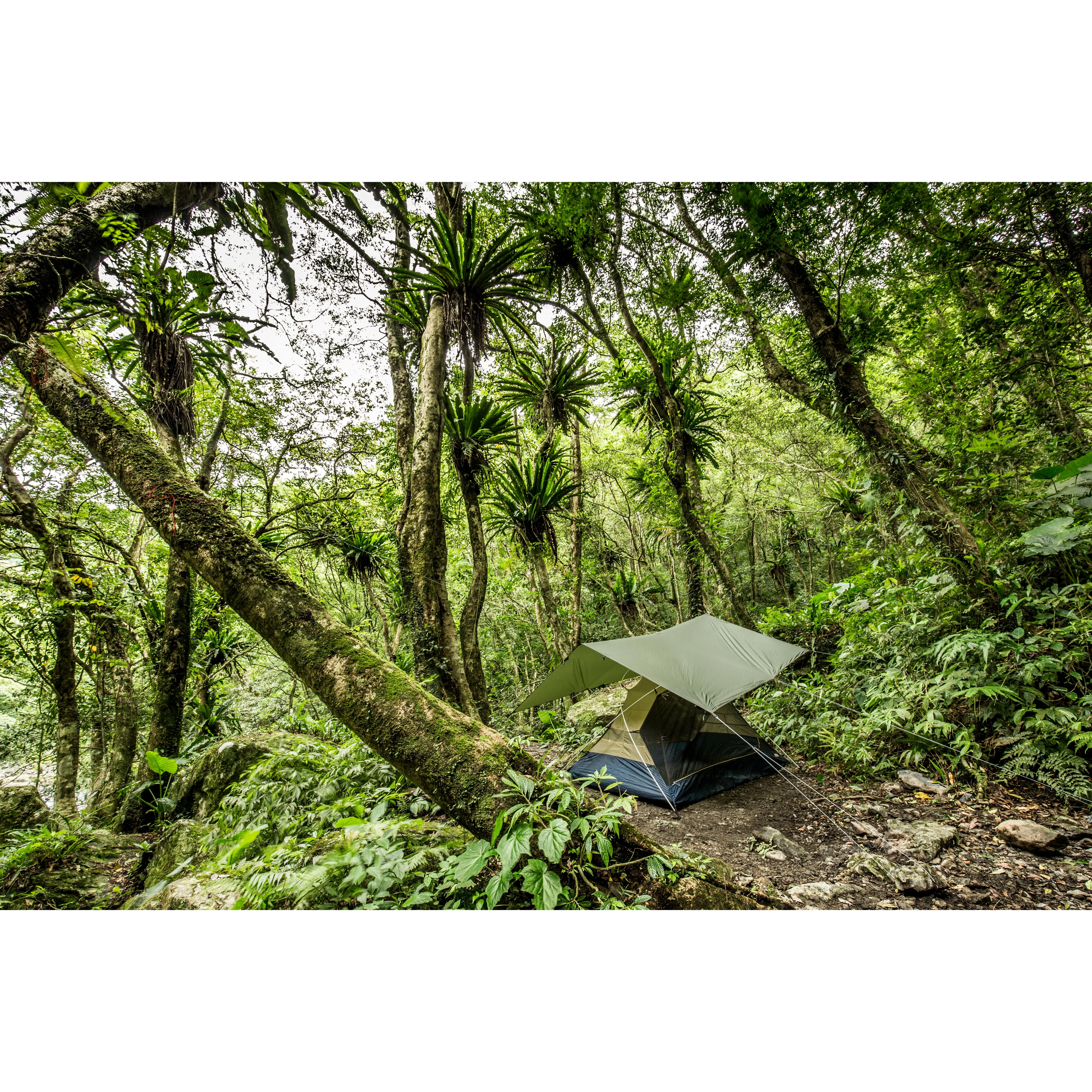 Fjällräven Abisko Tarp Large Pine Green | Buy Fjällräven Abisko Tarp Large Pine Green here | Outnorth